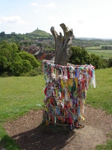 Holy Thorn, Wearyall Hill