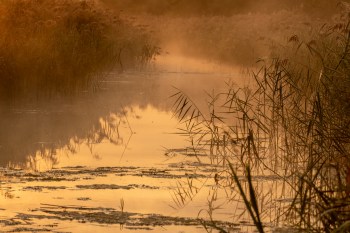 Sunrise over the canal